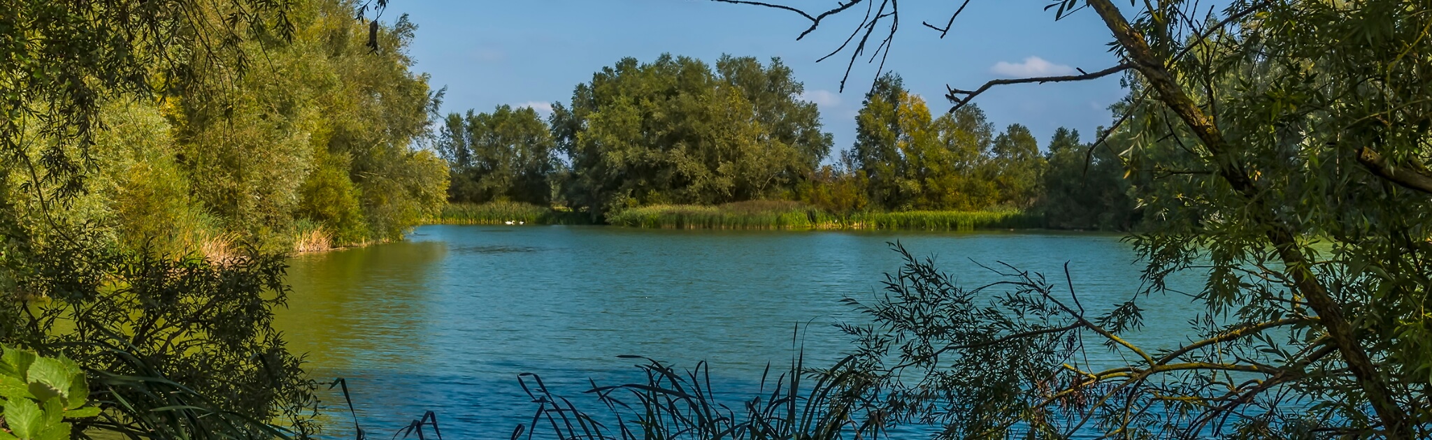 Large lake in Wellingborough with trees